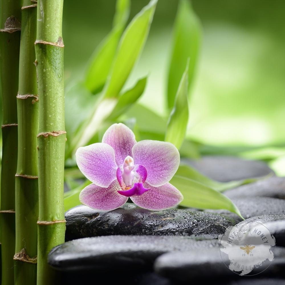 Bamboo & Orchid | Fragrance Oil (Seasonal)