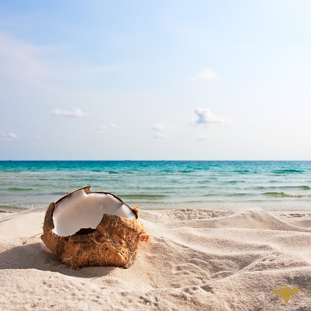 Coco Cabana Cheirosa '39 (type) | Fragrance Oil