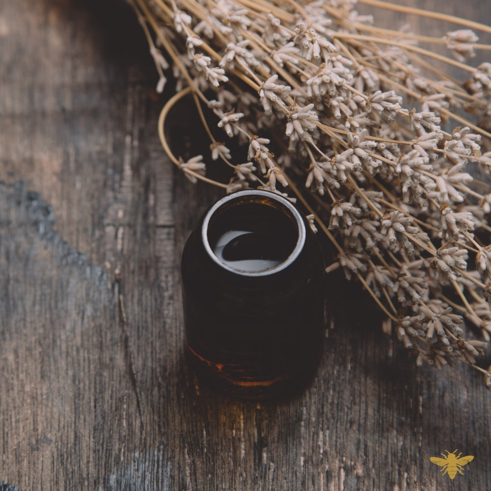 Grand Domme | Lavender + Tobacco Fragrance Oil