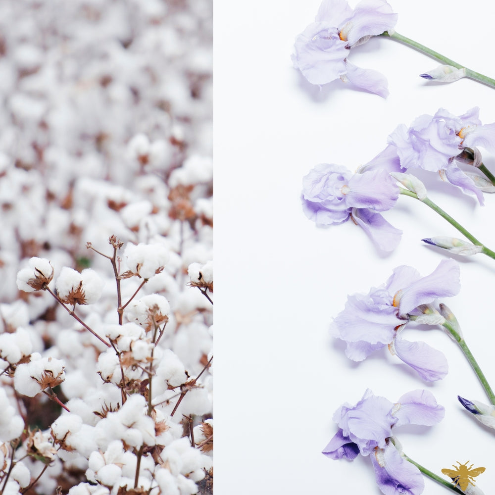 Iris & Cotton Fields | Fragrance Oil
