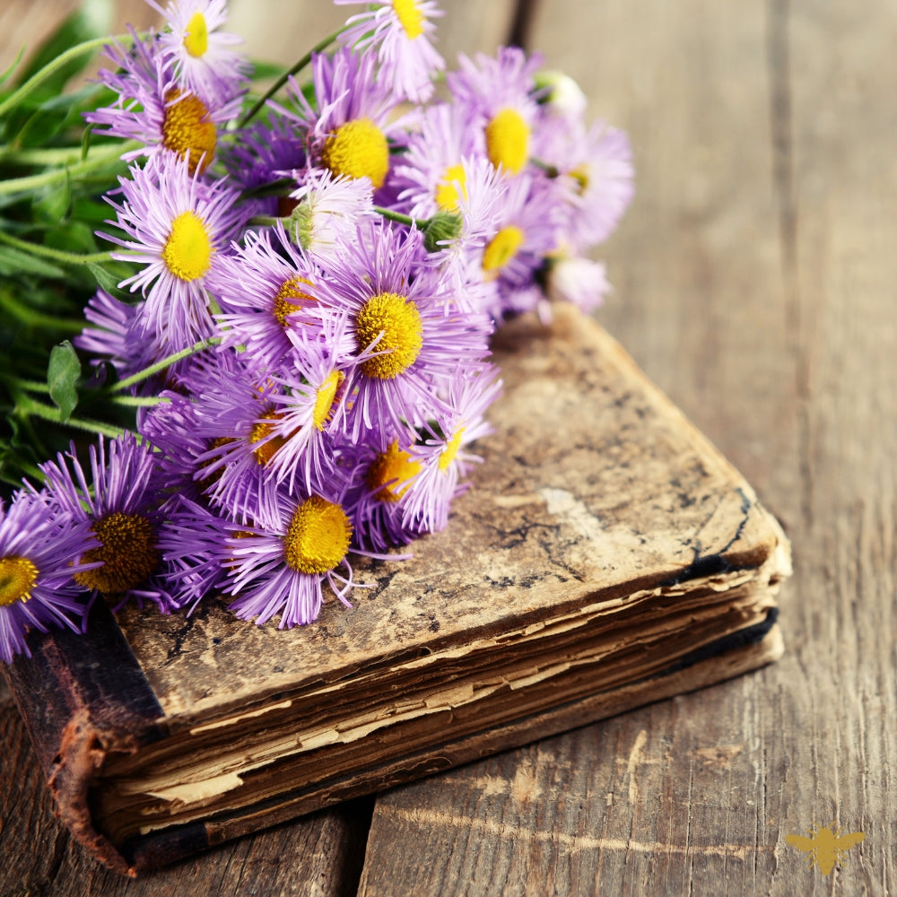 The Malevolent Mrs. Heatherleaf | Fragrance Oil