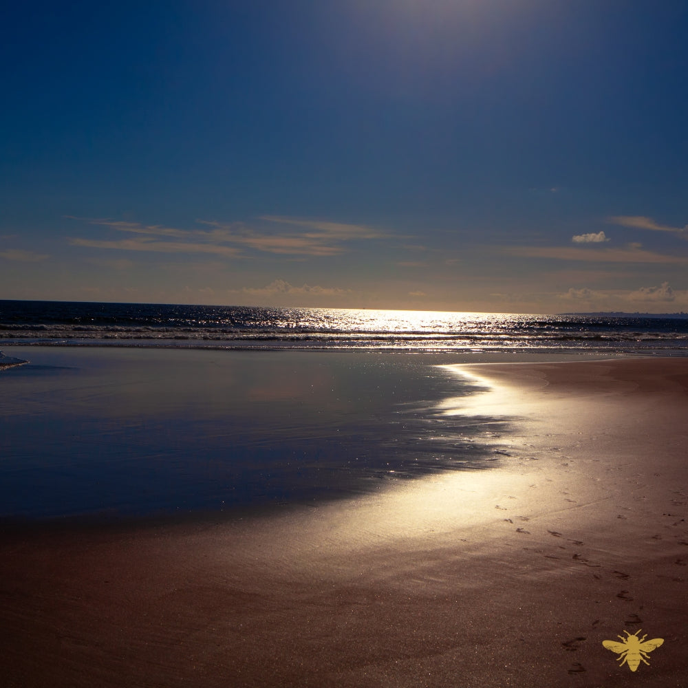 Midnight Tides | Black Sea Fragrance Oil