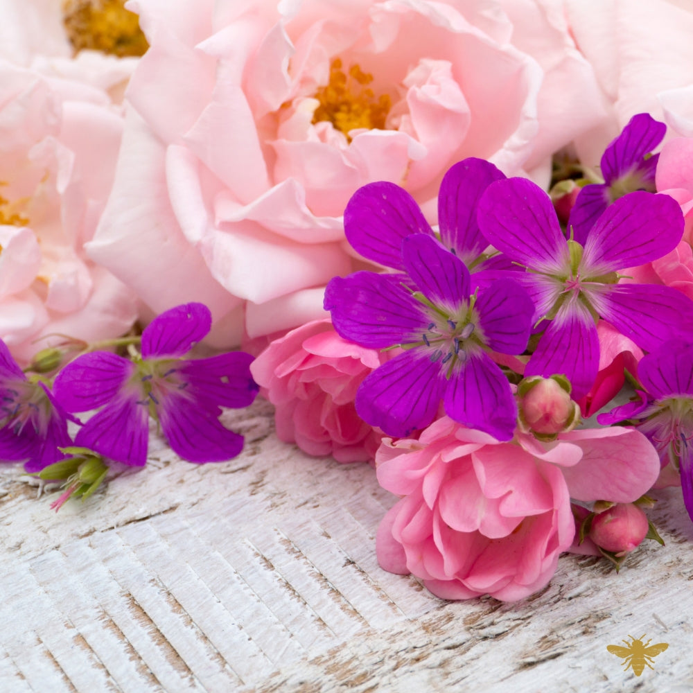 Vibrant Ms. Vien | Fragrance Oil