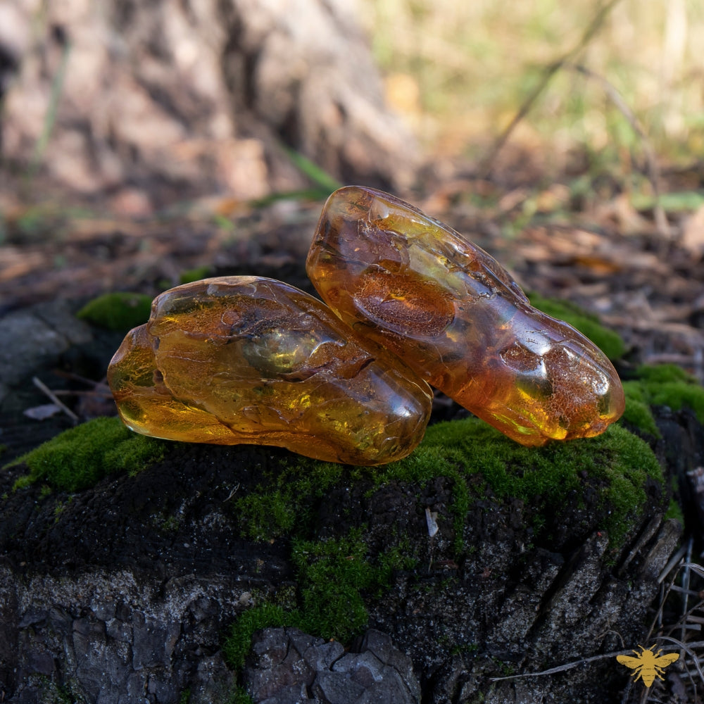 Oakmoss and Amber | Fragrance Oil