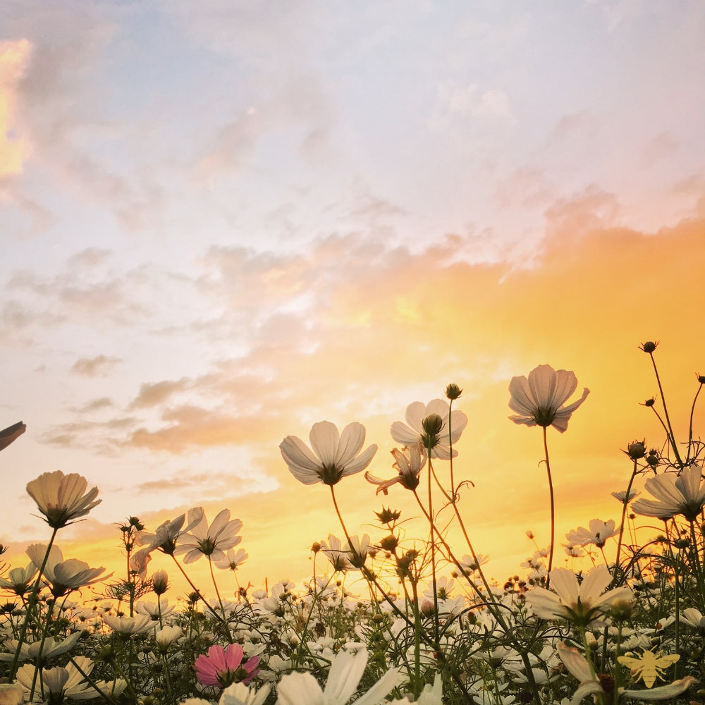 16/17 Sampler Pack | 2 oz Bottles