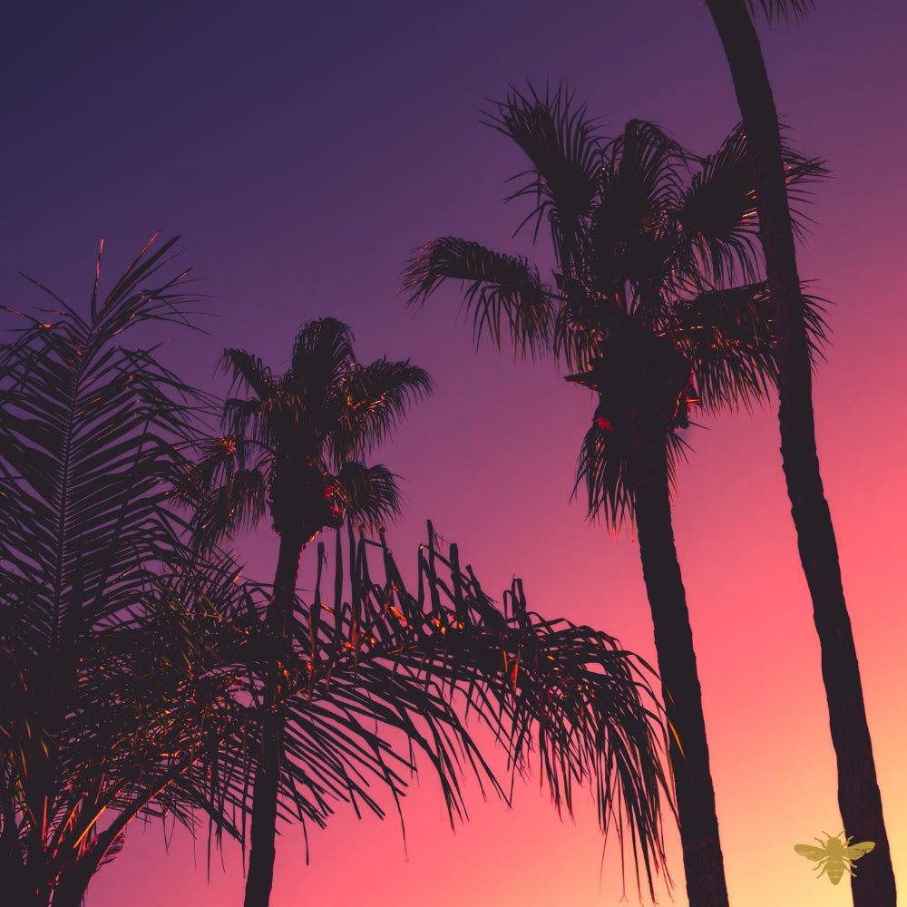 Tahitian Sunset | Fragrance Oil