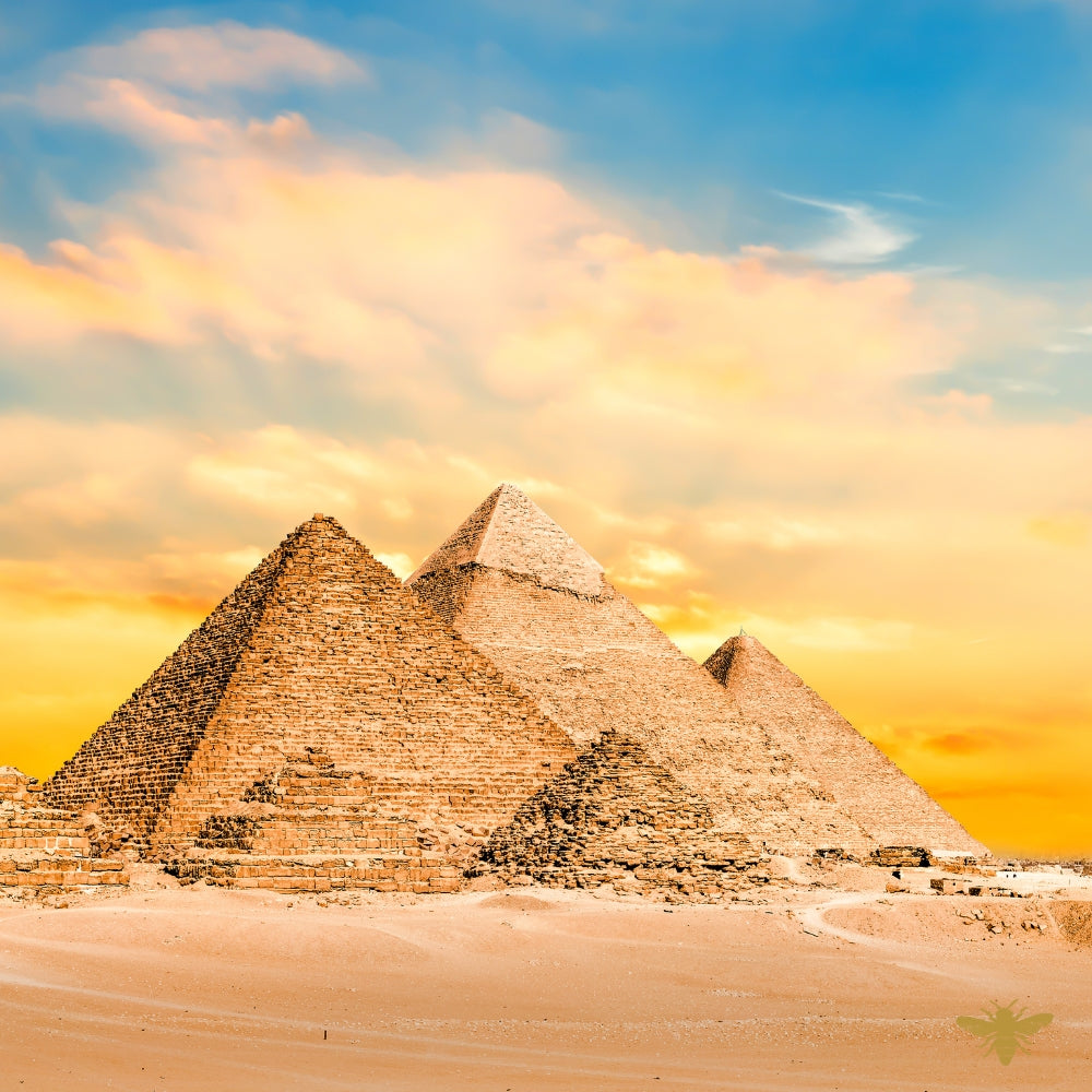 Warm Egyptian Amber | Fragrance Oil