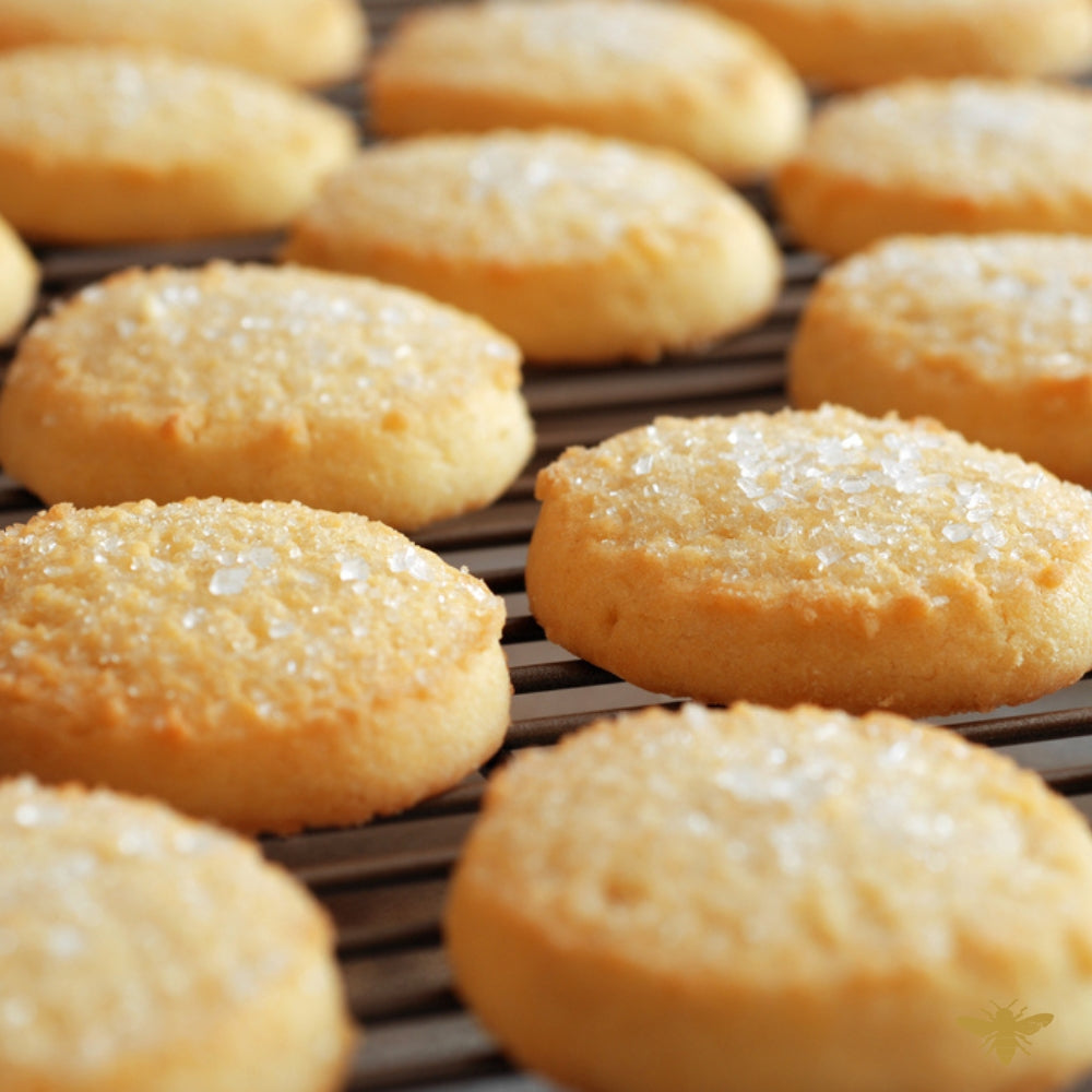 Warm Sugar Cookie | Fragrance Oil
