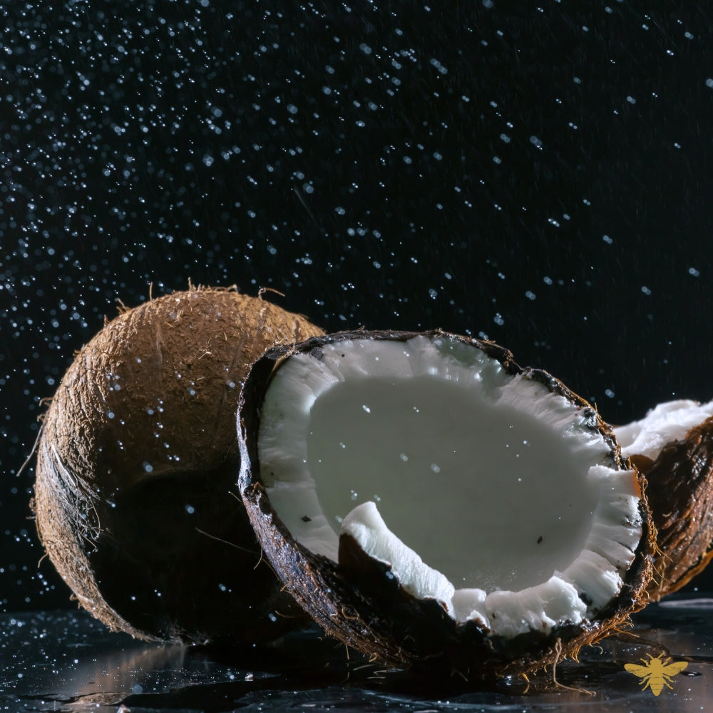 Black Coconut | Fragrance Oil