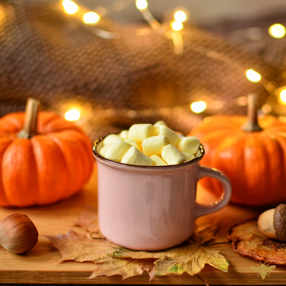Vanilla Pumpkin Marshmallow | Fragrance Oil