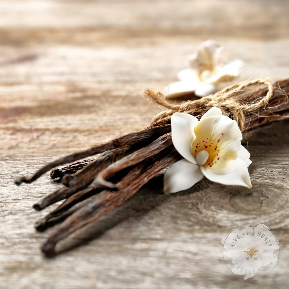 Vanilla Birch | Fragrance Oil